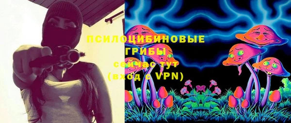 бошки Абаза