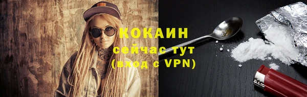 дурь Пестово